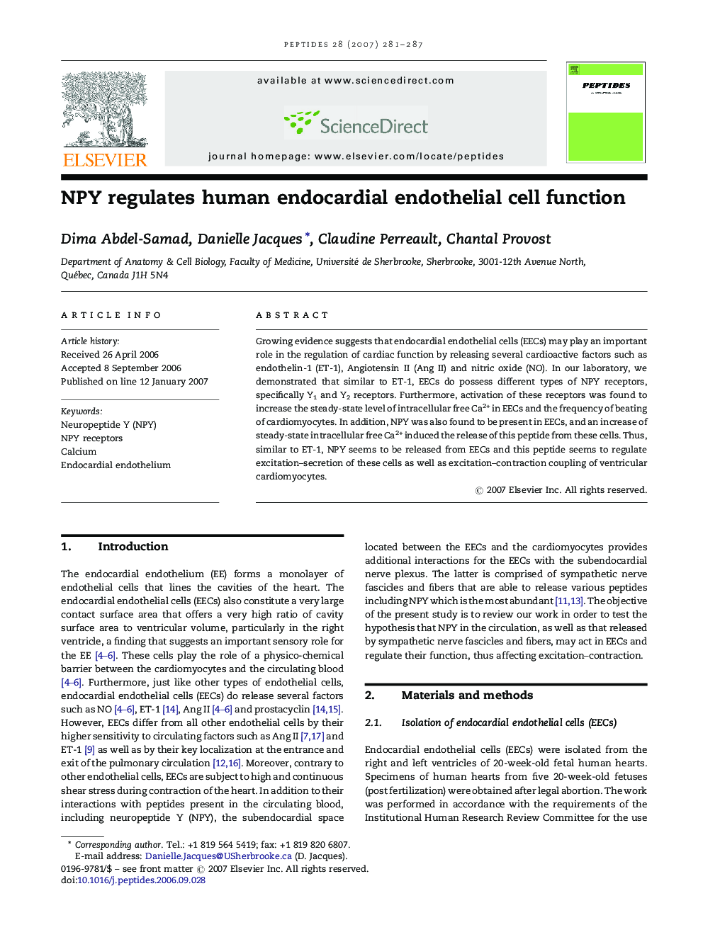 NPY regulates human endocardial endothelial cell function