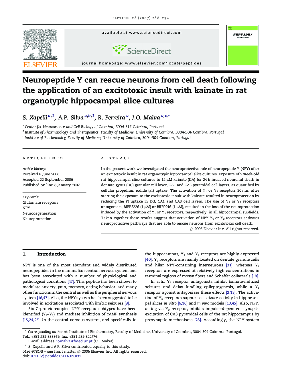 Neuropeptide Y can rescue neurons from cell death following the application of an excitotoxic insult with kainate in rat organotypic hippocampal slice cultures