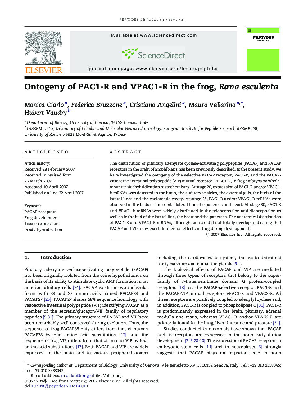 Ontogeny of PAC1-R and VPAC1-R in the frog, Rana esculenta