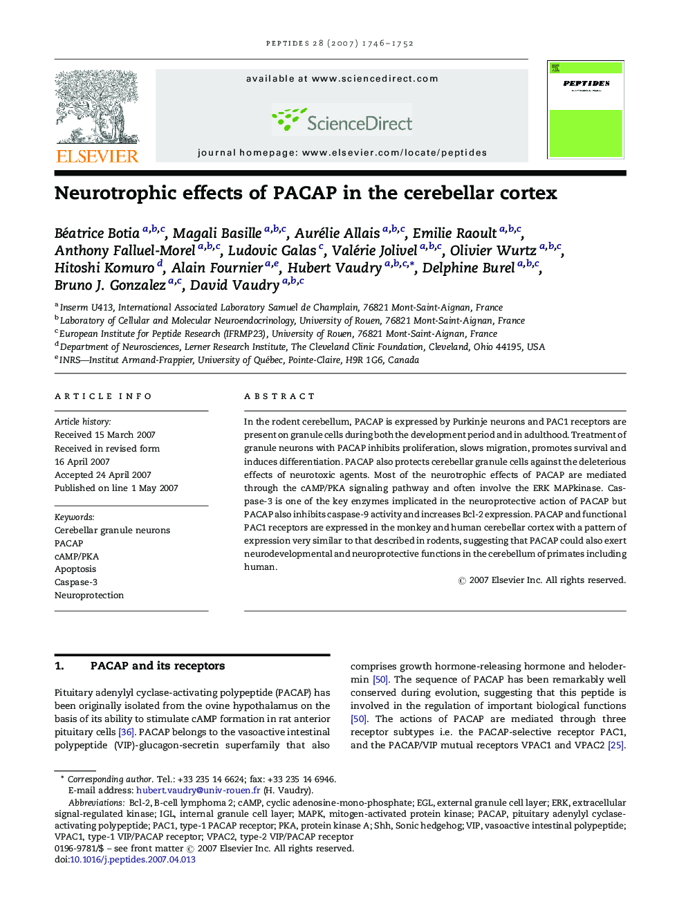 Neurotrophic effects of PACAP in the cerebellar cortex
