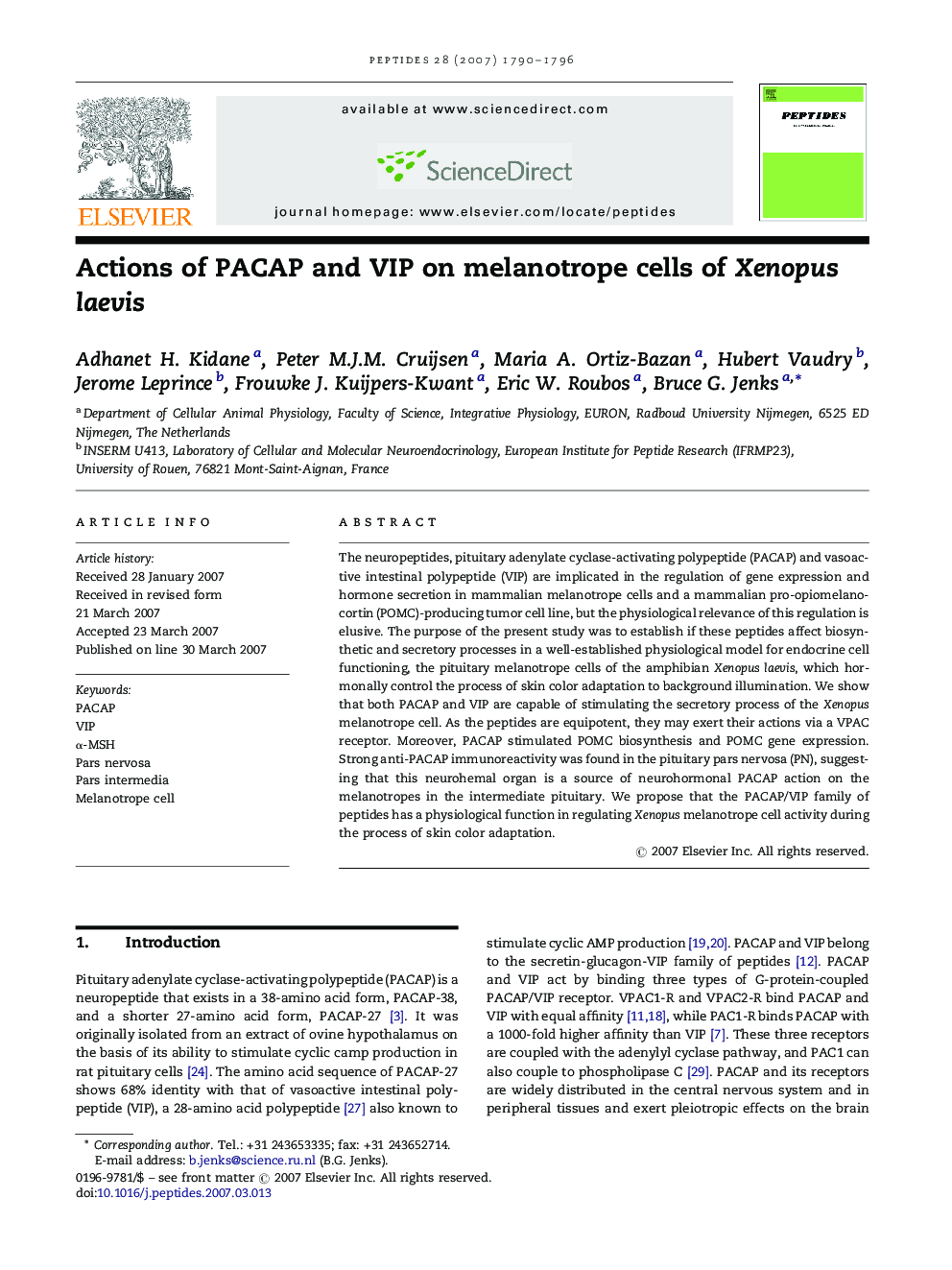 Actions of PACAP and VIP on melanotrope cells of Xenopus laevis