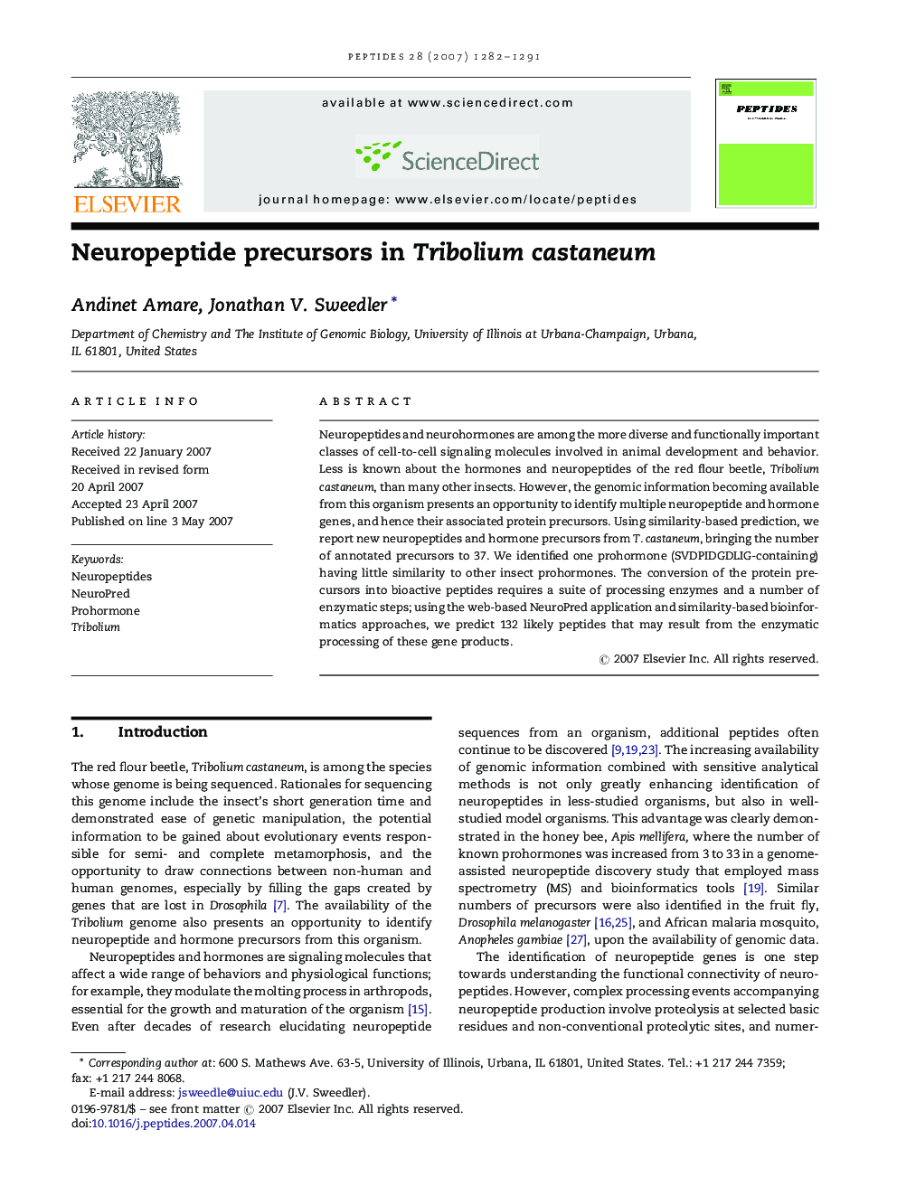 Neuropeptide precursors in Tribolium castaneum