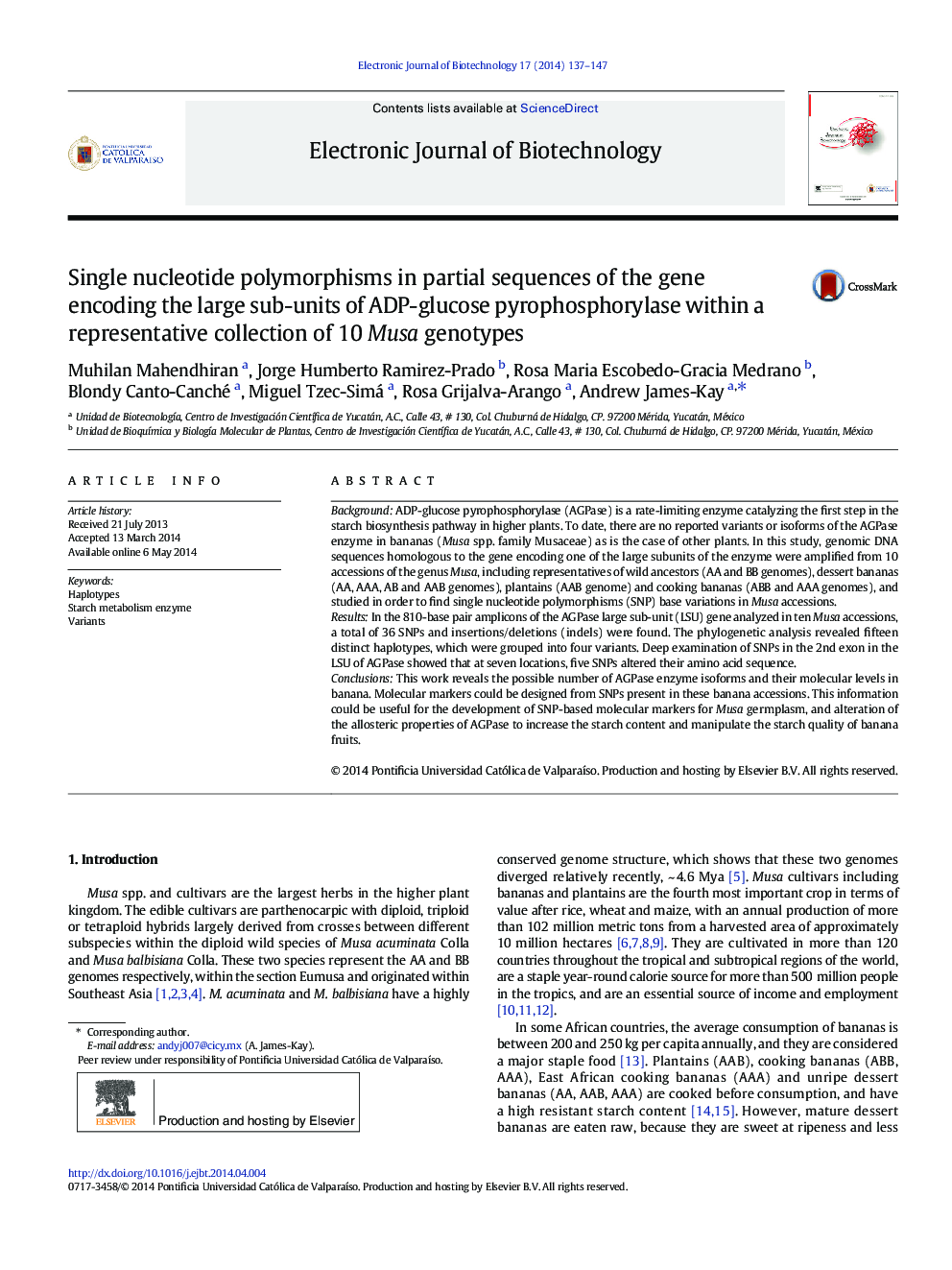 Single nucleotide polymorphisms in partial sequences of the gene encoding the large sub-units of ADP-glucose pyrophosphorylase within a representative collection of 10 Musa genotypes 