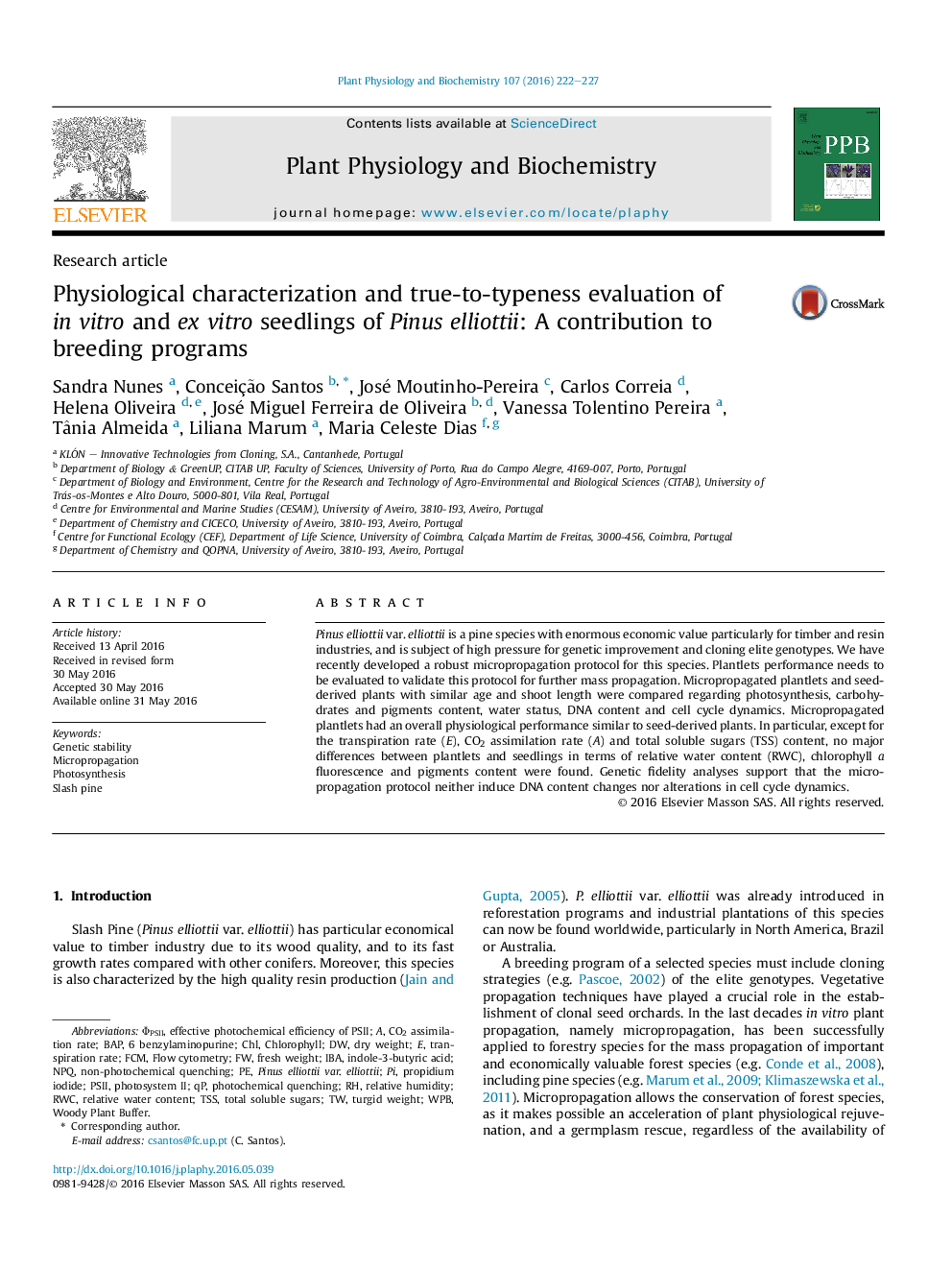 Physiological characterization and true-to-typeness evaluation of in vitro and ex vitro seedlings of Pinus elliottii: A contribution to breeding programs