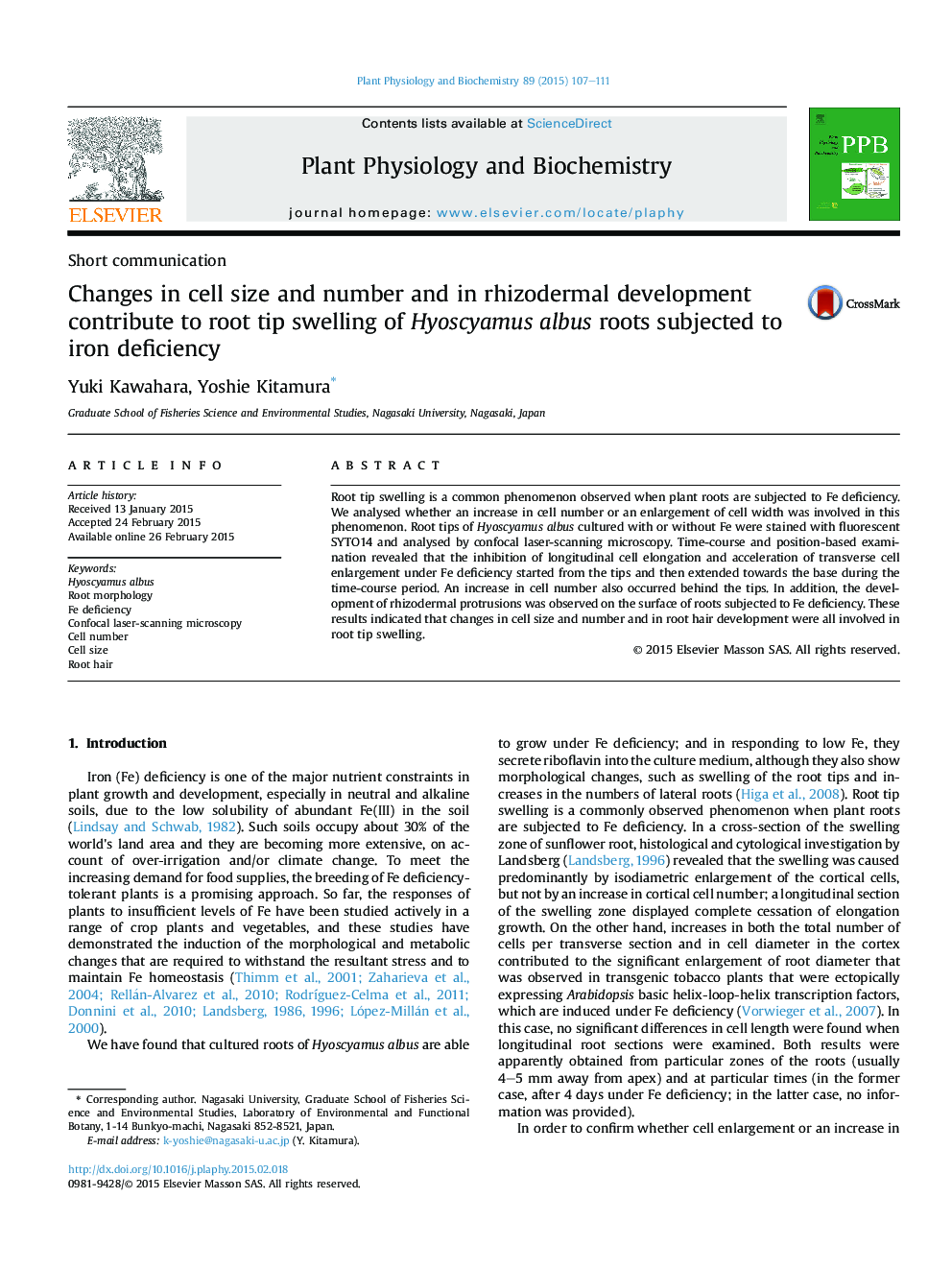 Changes in cell size and number and in rhizodermal development contribute to root tip swelling of Hyoscyamus albus roots subjected to iron deficiency