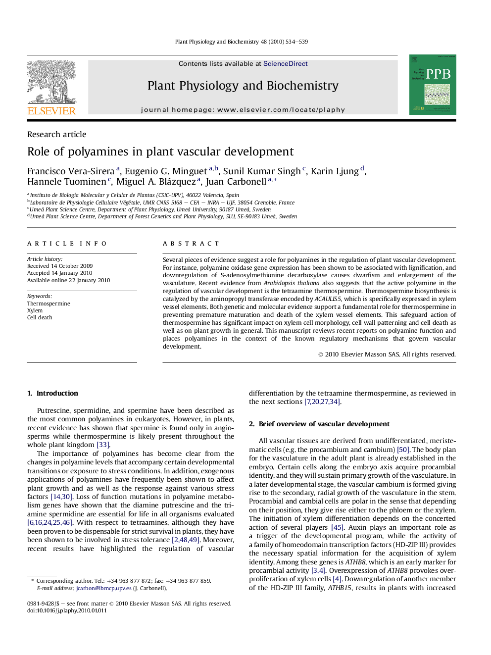 Role of polyamines in plant vascular development