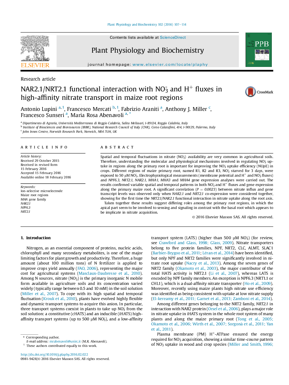 NAR2.1/NRT2.1 functional interaction with NO3- and H+ fluxes in high-affinity nitrate transport in maize root regions