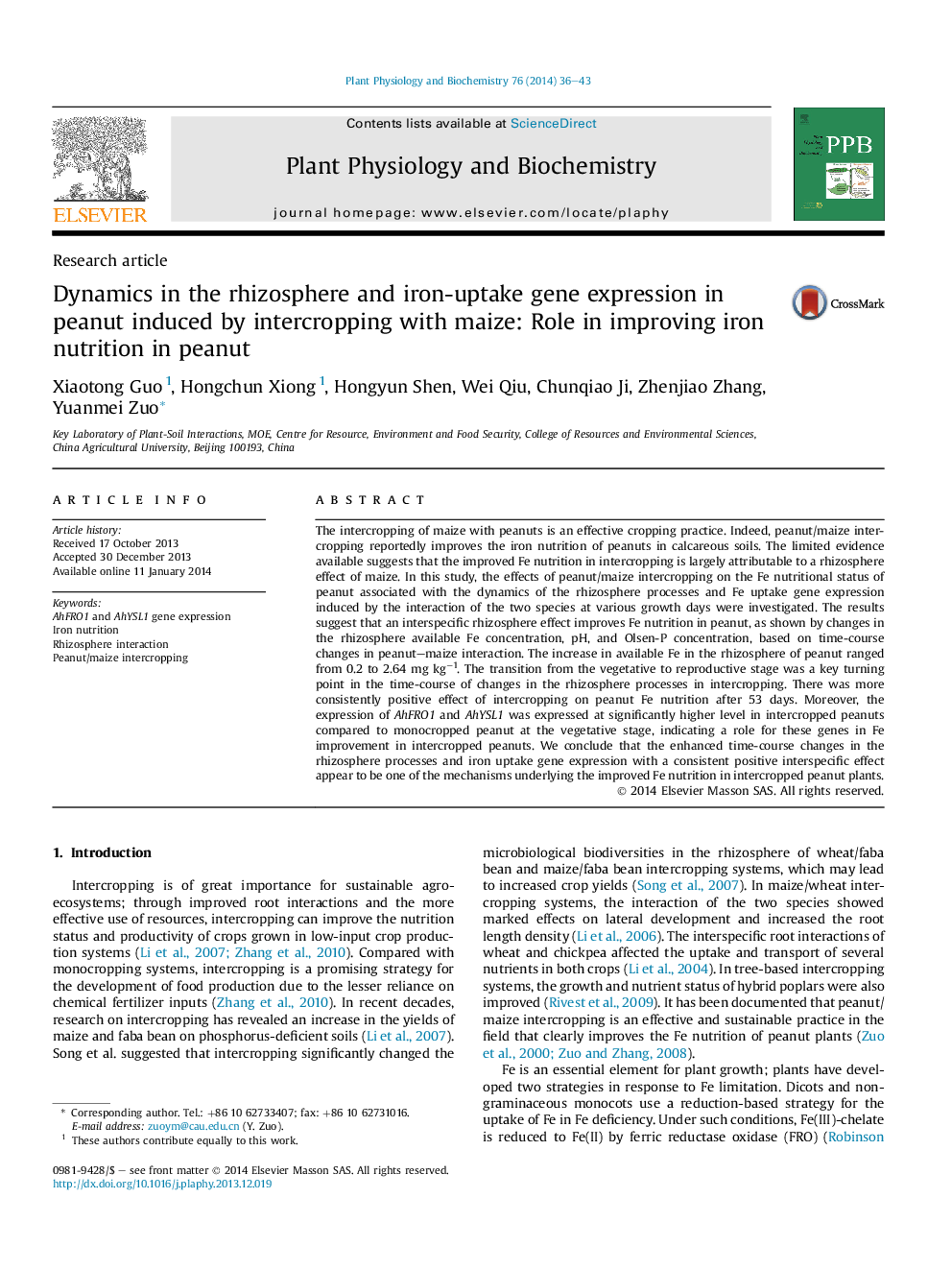 Dynamics in the rhizosphere and iron-uptake gene expression in peanut induced by intercropping with maize: Role in improving iron nutrition in peanut