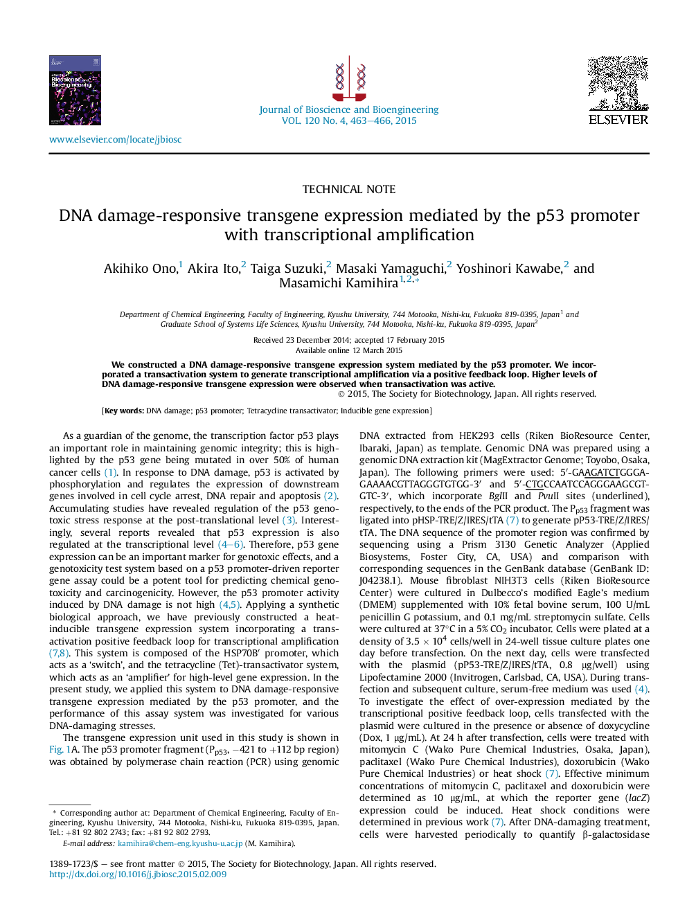 DNA damage-responsive transgene expression mediated by the p53 promoter with transcriptional amplification