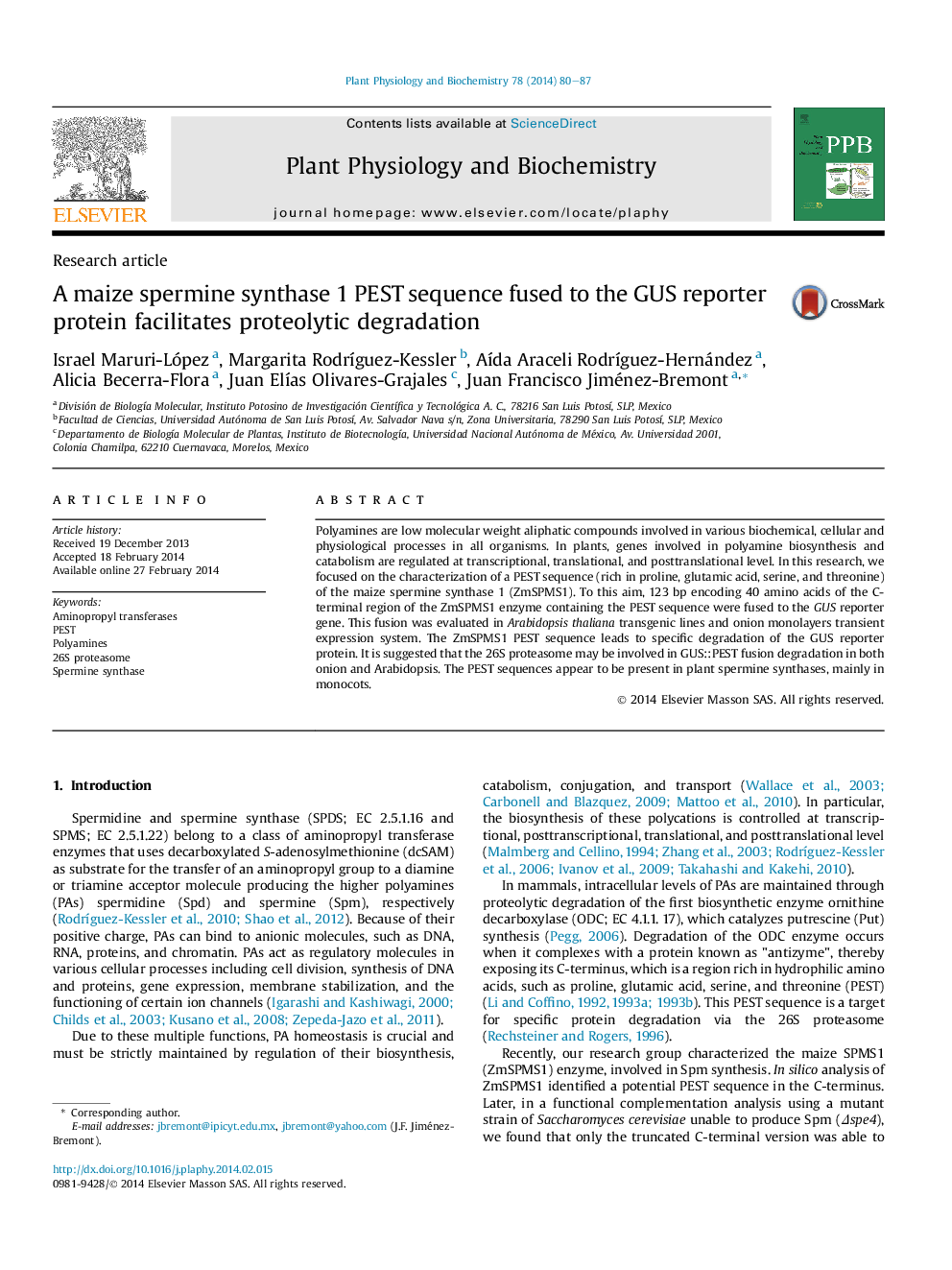 A maize spermine synthase 1 PEST sequence fused to the GUS reporter protein facilitates proteolytic degradation