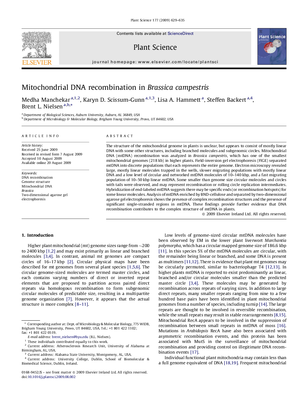 Mitochondrial DNA recombination in Brassica campestris