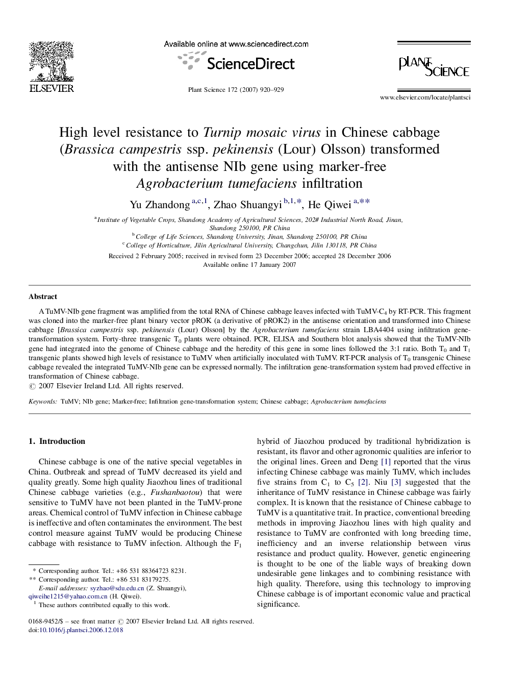 High level resistance to Turnip mosaic virus in Chinese cabbage (Brassica campestris ssp. pekinensis (Lour) Olsson) transformed with the antisense NIb gene using marker-free Agrobacterium tumefaciens infiltration