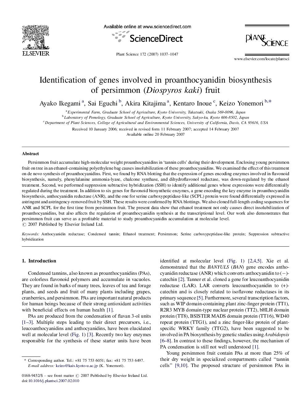 Identification of genes involved in proanthocyanidin biosynthesis of persimmon (Diospyros kaki) fruit