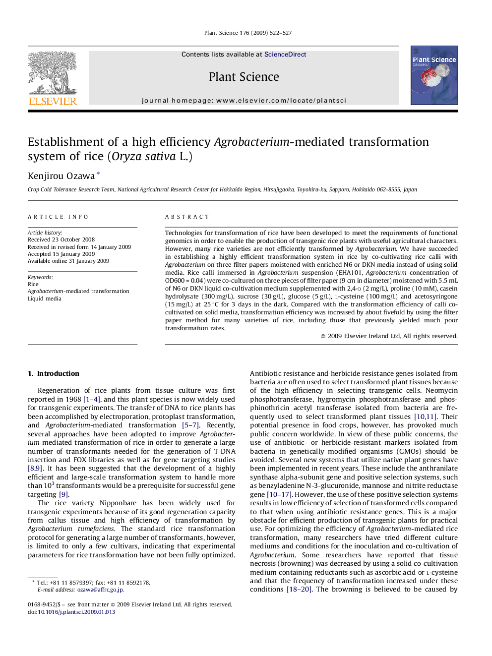 Establishment of a high efficiency Agrobacterium-mediated transformation system of rice (Oryza sativa L.)