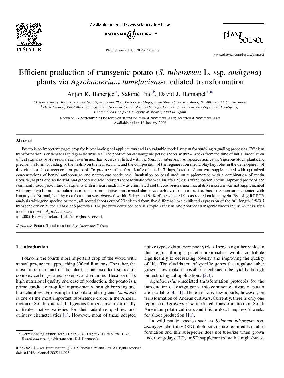 Efficient production of transgenic potato (S. tuberosum L. ssp. andigena) plants via Agrobacterium tumefaciens-mediated transformation