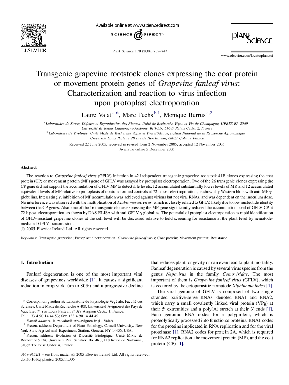 Transgenic grapevine rootstock clones expressing the coat protein or movement protein genes of Grapevine fanleaf virus: Characterization and reaction to virus infection upon protoplast electroporation