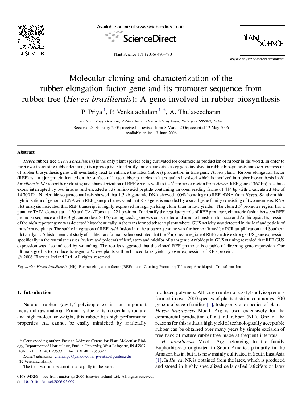 Molecular cloning and characterization of the rubber elongation factor gene and its promoter sequence from rubber tree (Hevea brasiliensis): A gene involved in rubber biosynthesis