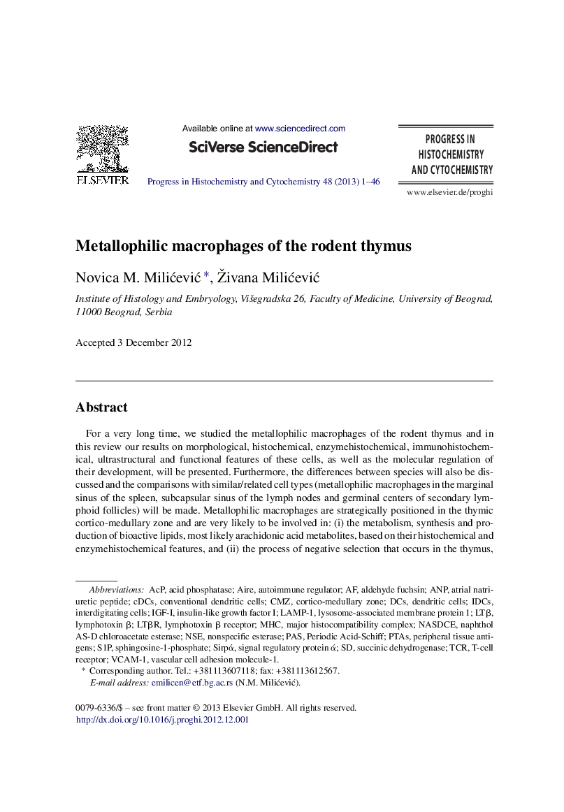 Metallophilic macrophages of the rodent thymus