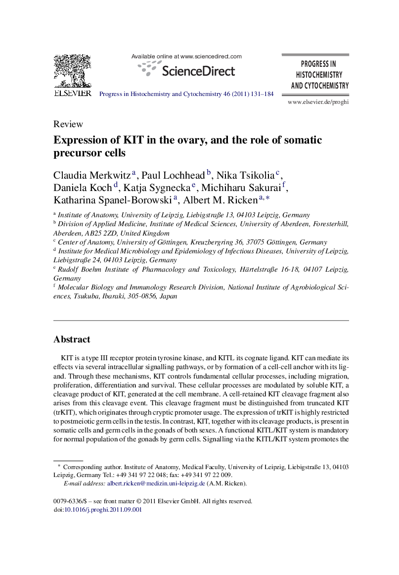 Expression of KIT in the ovary, and the role of somatic precursor cells