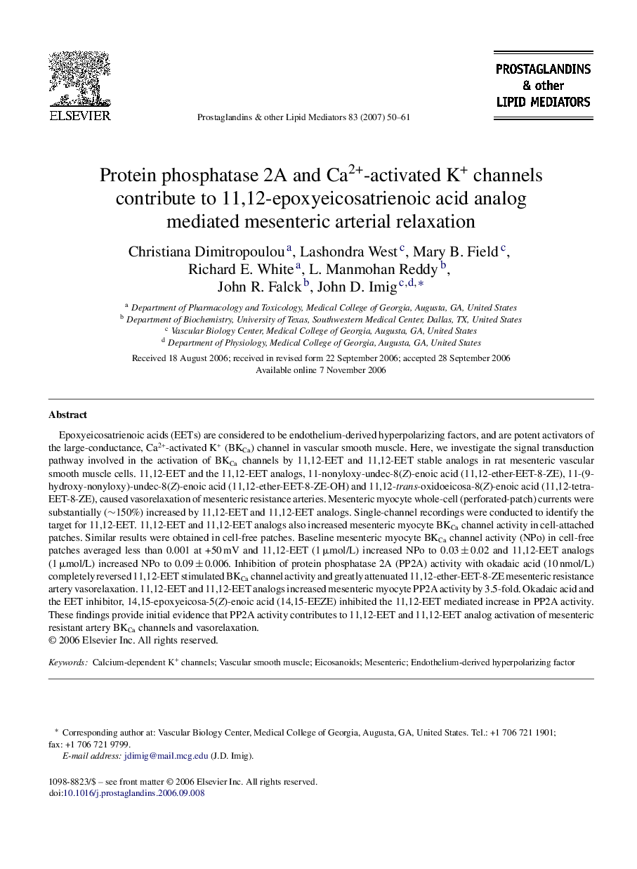 Protein phosphatase 2A and Ca2+-activated K+ channels contribute to 11,12-epoxyeicosatrienoic acid analog mediated mesenteric arterial relaxation