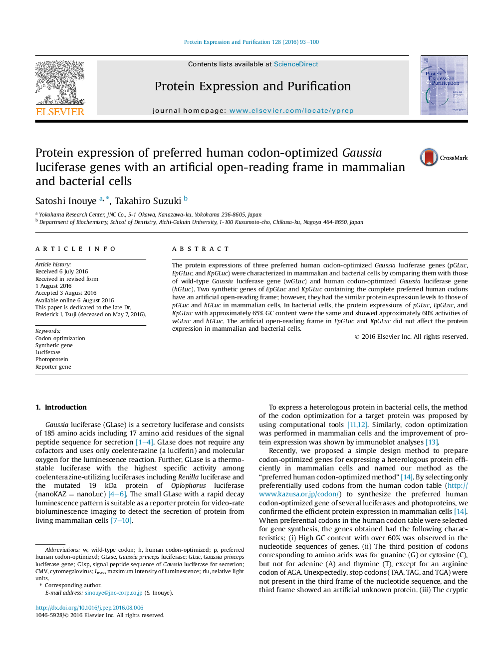 Protein expression of preferred human codon-optimized Gaussia luciferase genes with an artificial open-reading frame in mammalian and bacterial cells