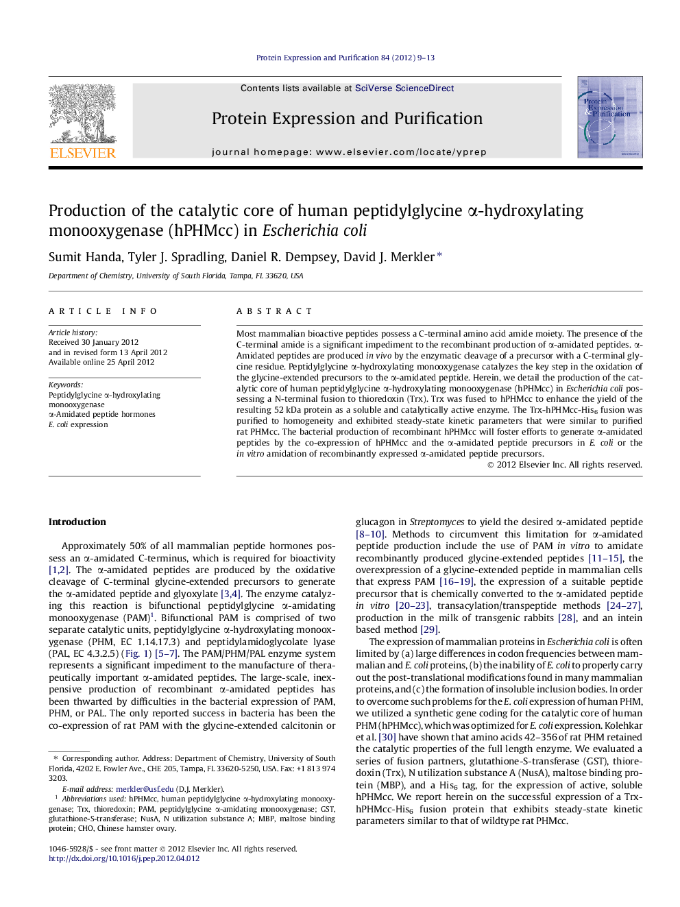 Production of the catalytic core of human peptidylglycine α-hydroxylating monooxygenase (hPHMcc) in Escherichia coli