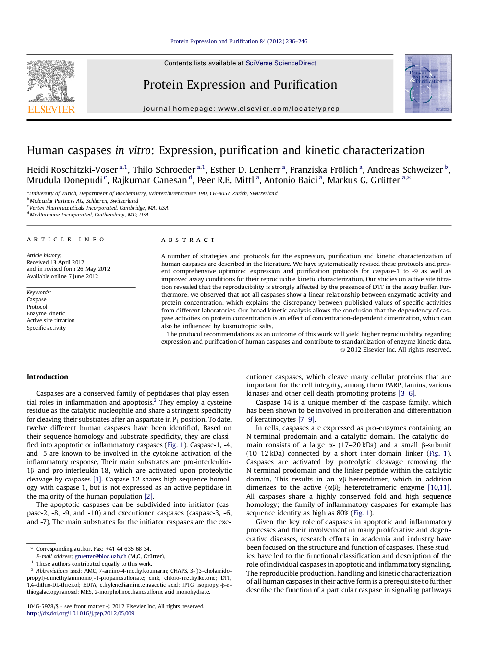 Human caspases in vitro: Expression, purification and kinetic characterization