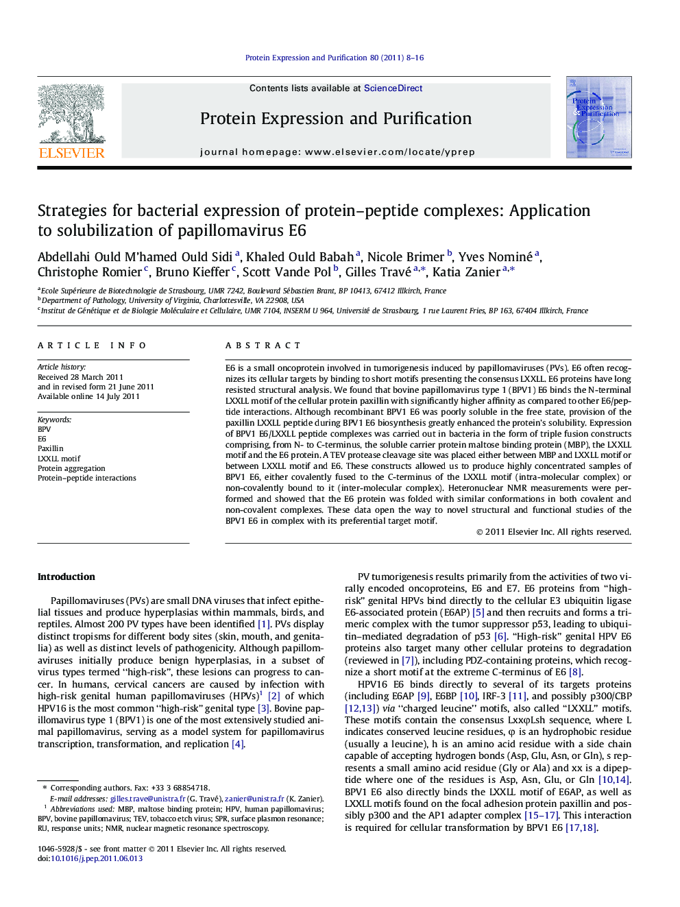 Strategies for bacterial expression of protein-peptide complexes: Application to solubilization of papillomavirus E6