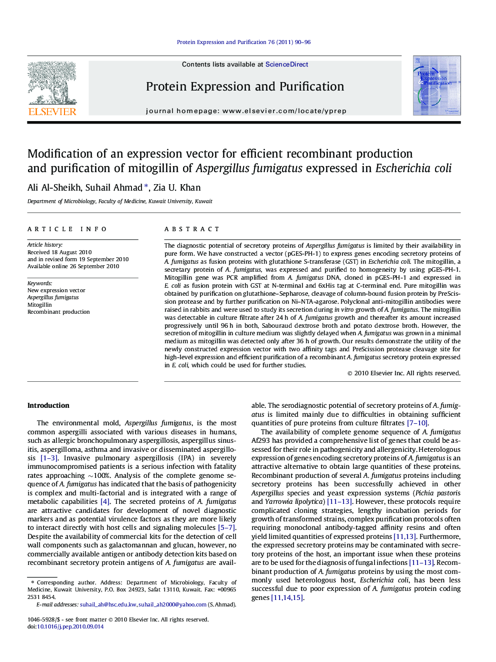 Modification of an expression vector for efficient recombinant production and purification of mitogillin of Aspergillus fumigatus expressed in Escherichia coli