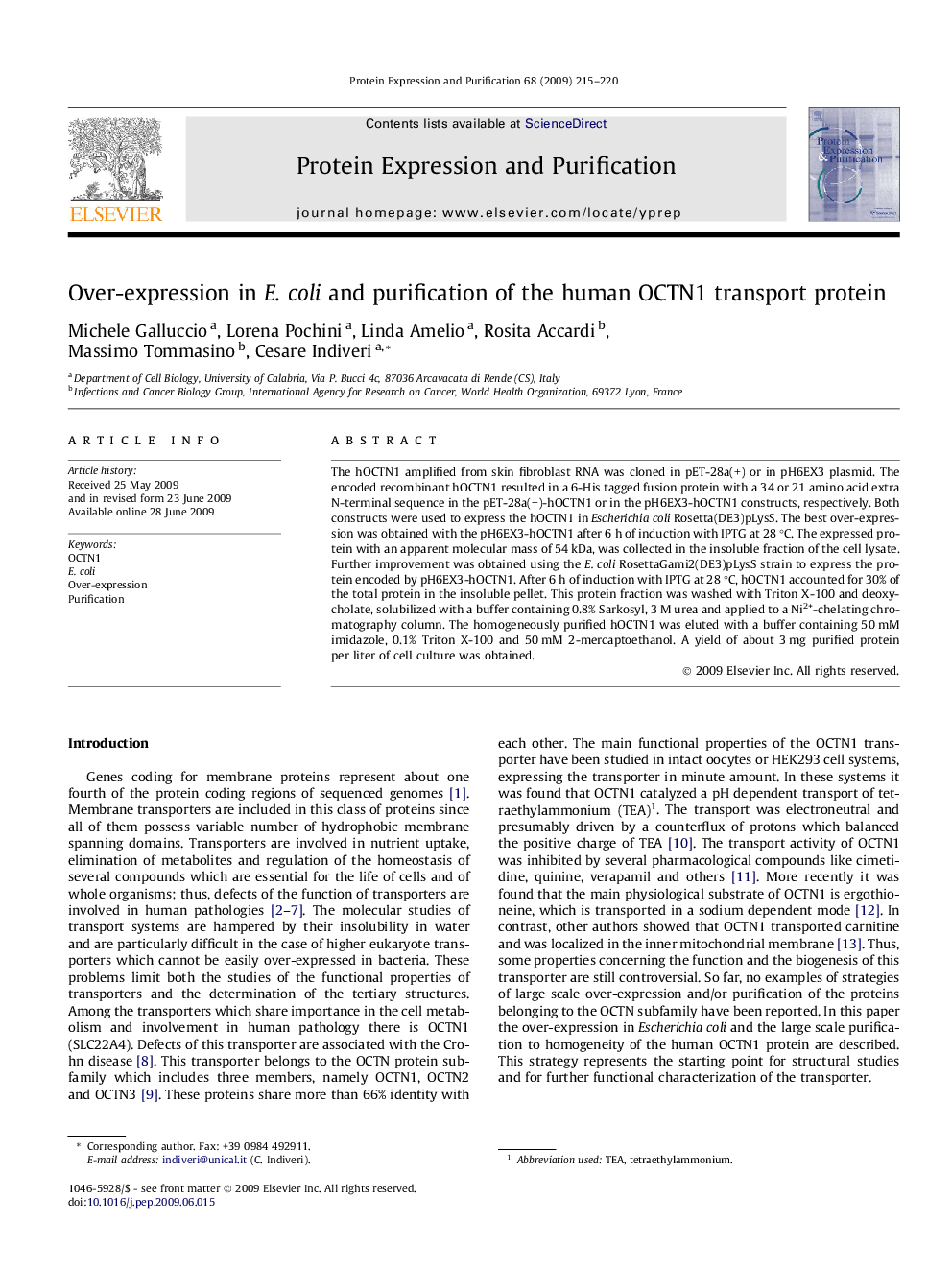 Over-expression in E. coli and purification of the human OCTN1 transport protein