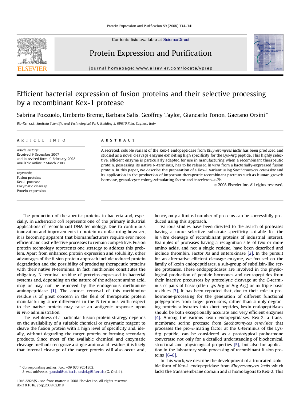 Efficient bacterial expression of fusion proteins and their selective processing by a recombinant Kex-1 protease