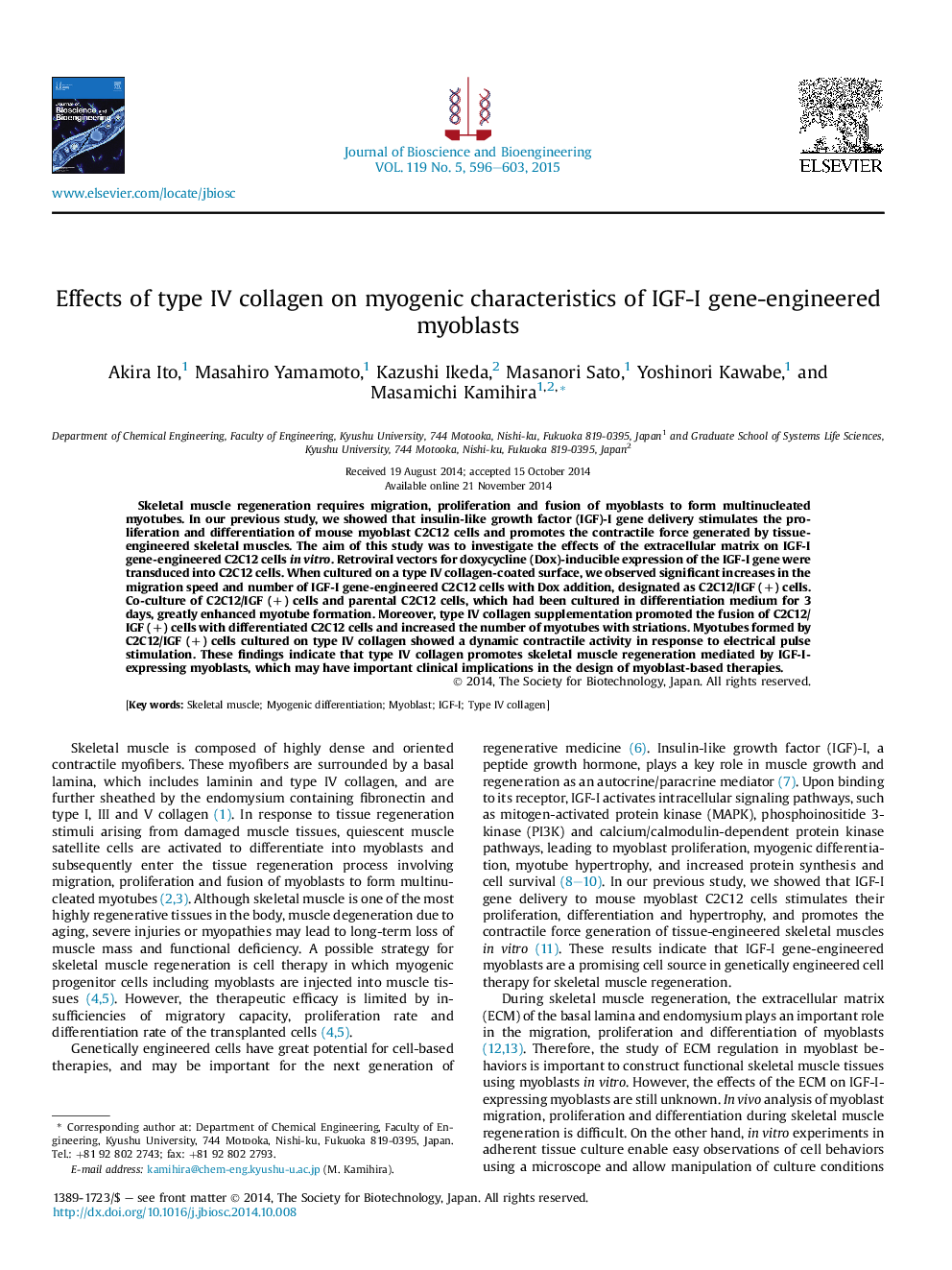 Effects of type IV collagen on myogenic characteristics of IGF-I gene-engineered myoblasts