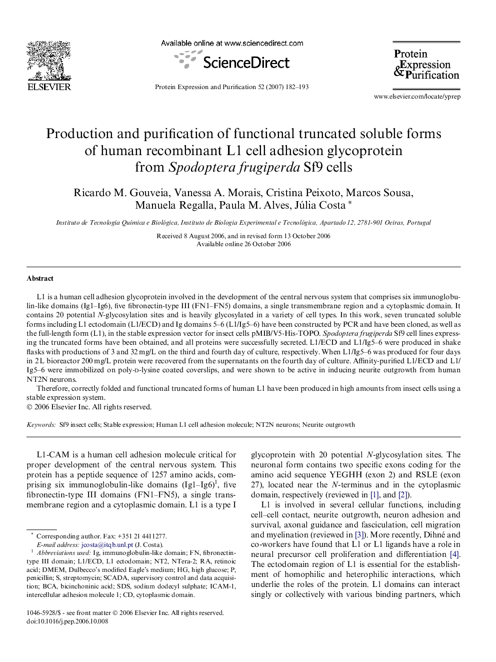 Production and purification of functional truncated soluble forms of human recombinant L1 cell adhesion glycoprotein from Spodoptera frugiperda Sf9 cells