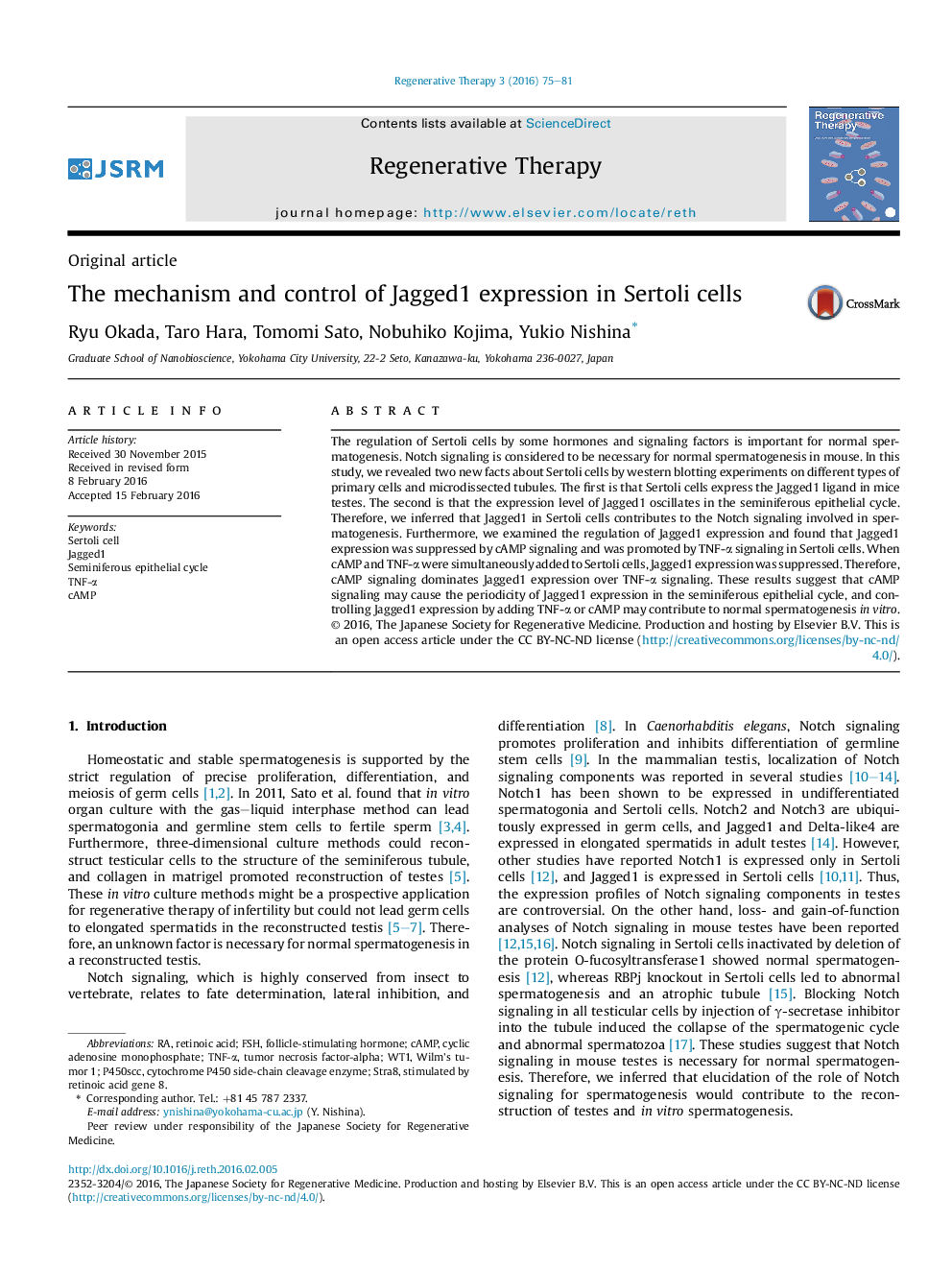 The mechanism and control of Jagged1 expression in Sertoli cells 