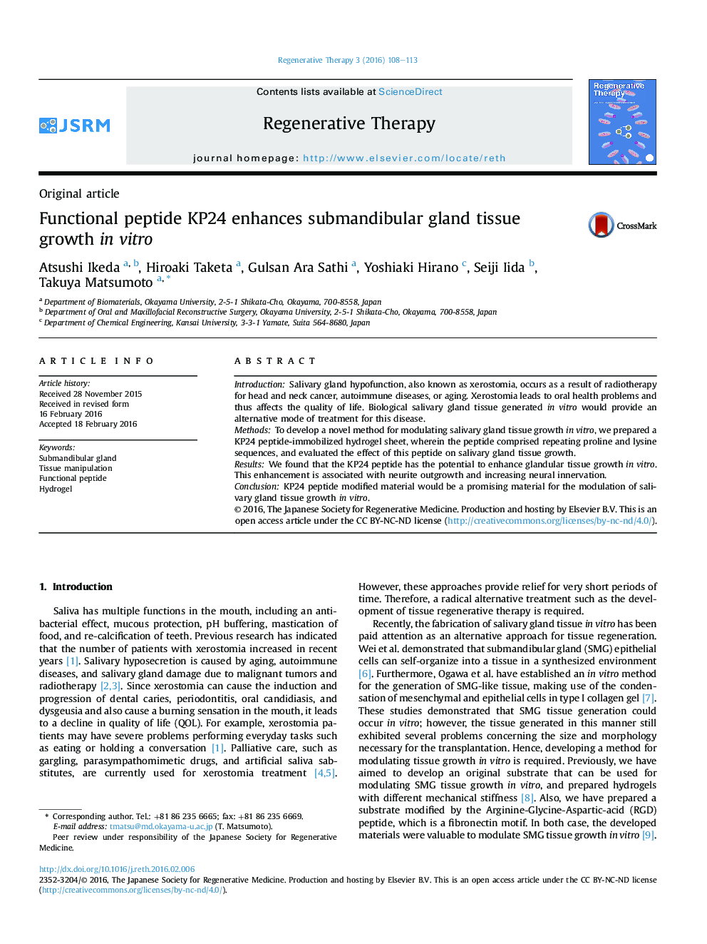 Functional peptide KP24 enhances submandibular gland tissue growth in vitro 