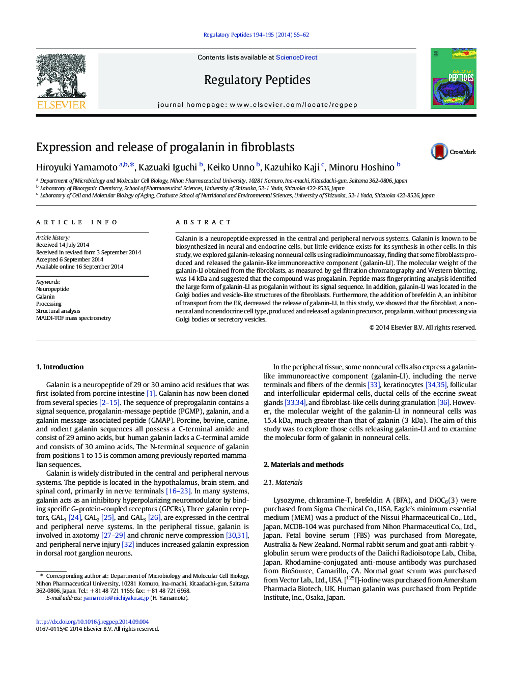 Expression and release of progalanin in fibroblasts