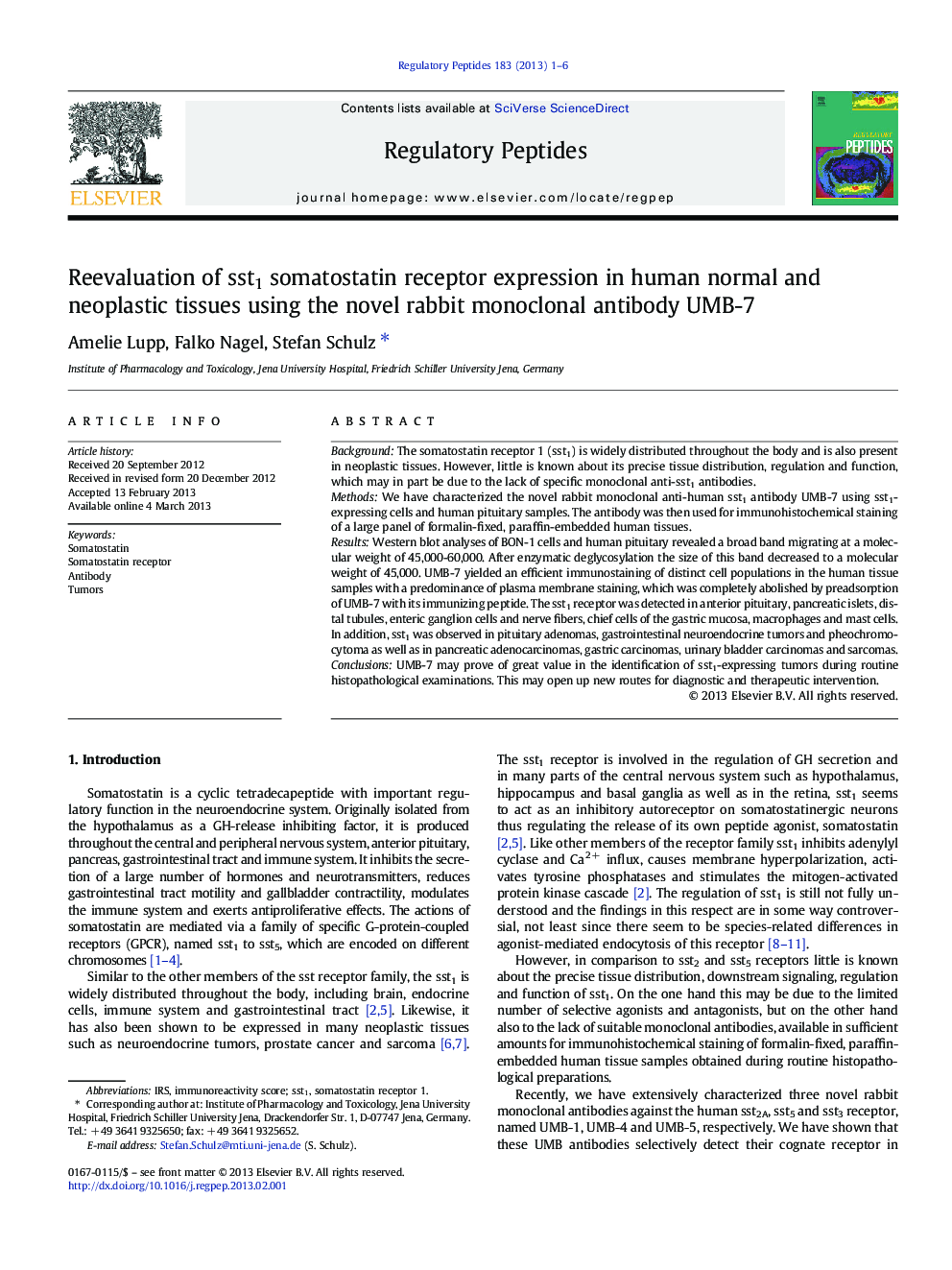 Reevaluation of sst1 somatostatin receptor expression in human normal and neoplastic tissues using the novel rabbit monoclonal antibody UMB-7