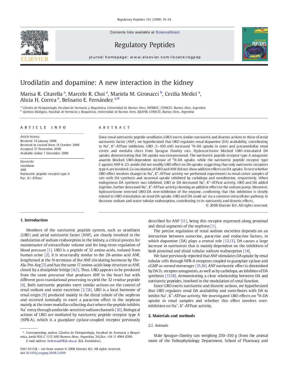 Urodilatin and dopamine: A new interaction in the kidney