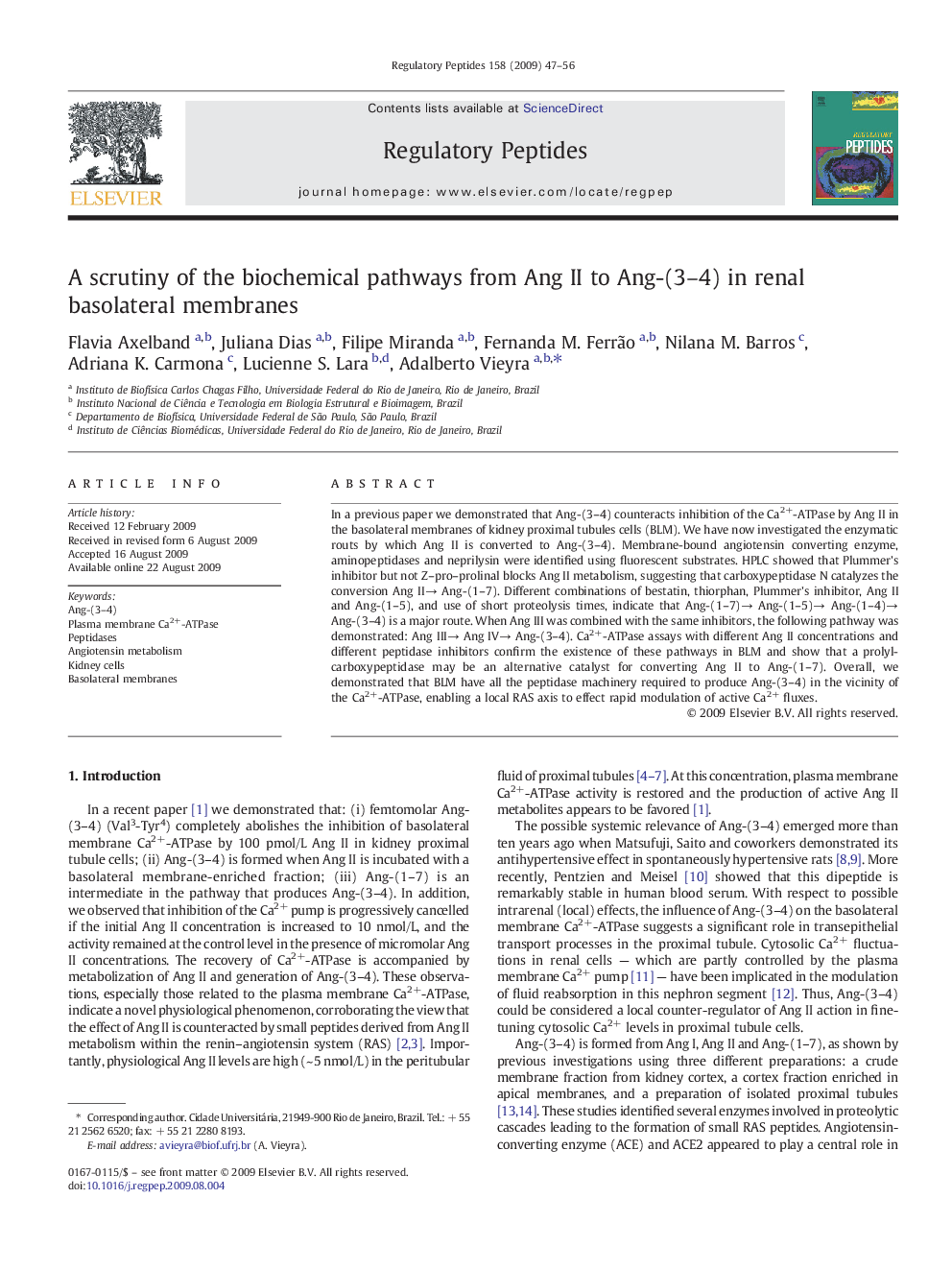 A scrutiny of the biochemical pathways from Ang II to Ang-(3–4) in renal basolateral membranes