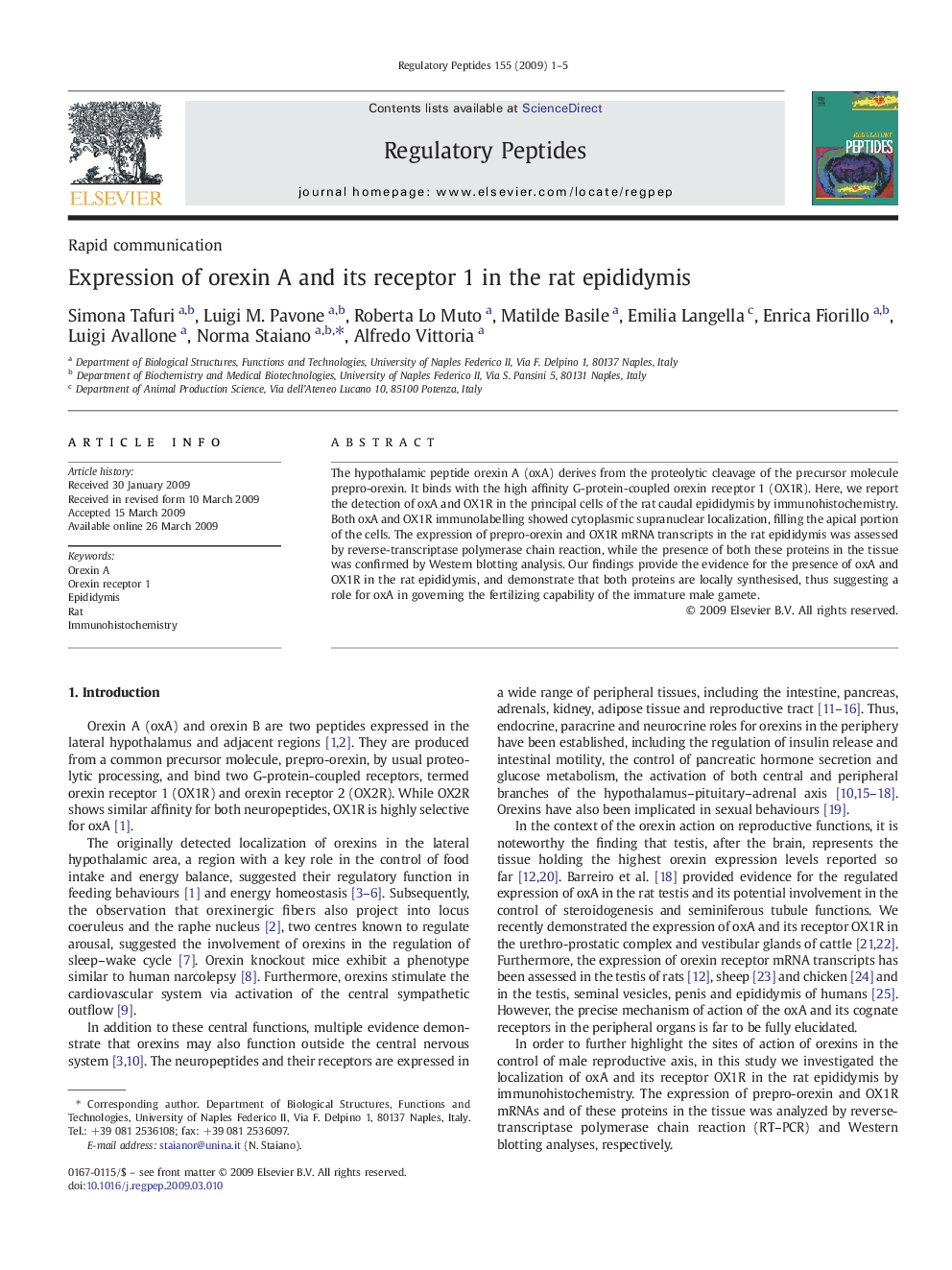 Expression of orexin A and its receptor 1 in the rat epididymis