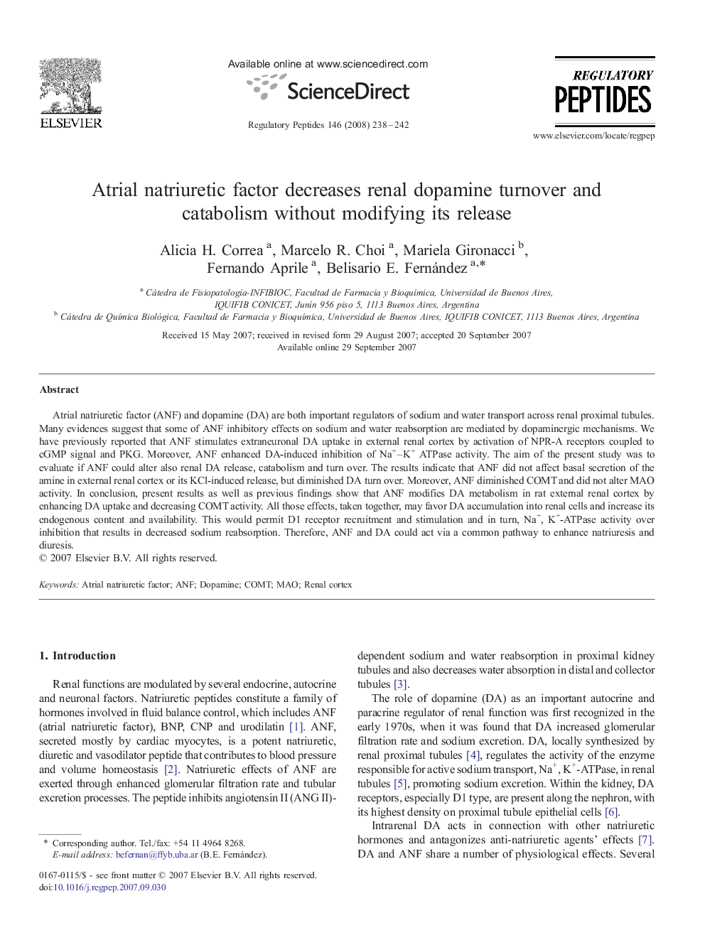 Atrial natriuretic factor decreases renal dopamine turnover and catabolism without modifying its release