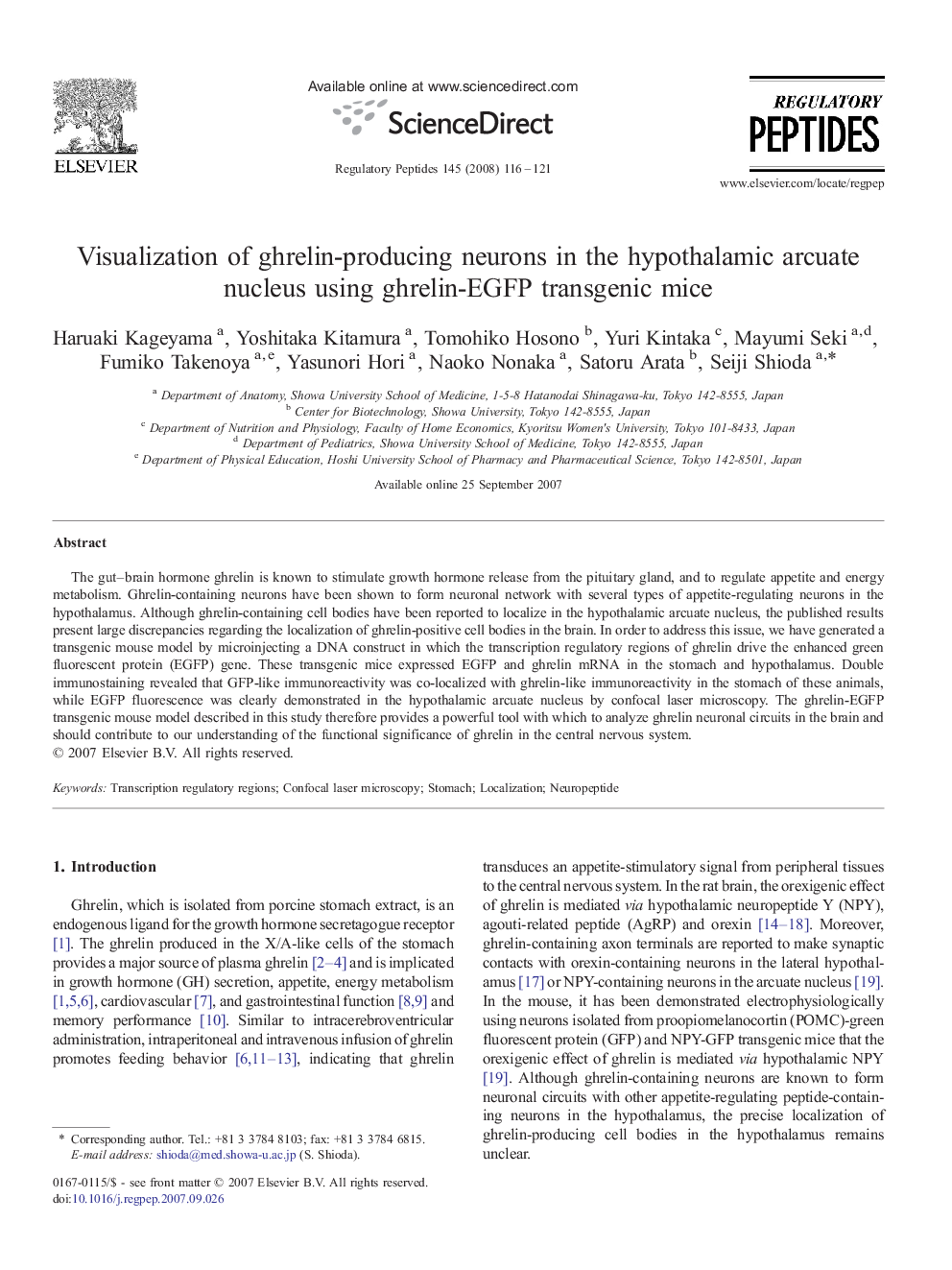 Visualization of ghrelin-producing neurons in the hypothalamic arcuate nucleus using ghrelin-EGFP transgenic mice