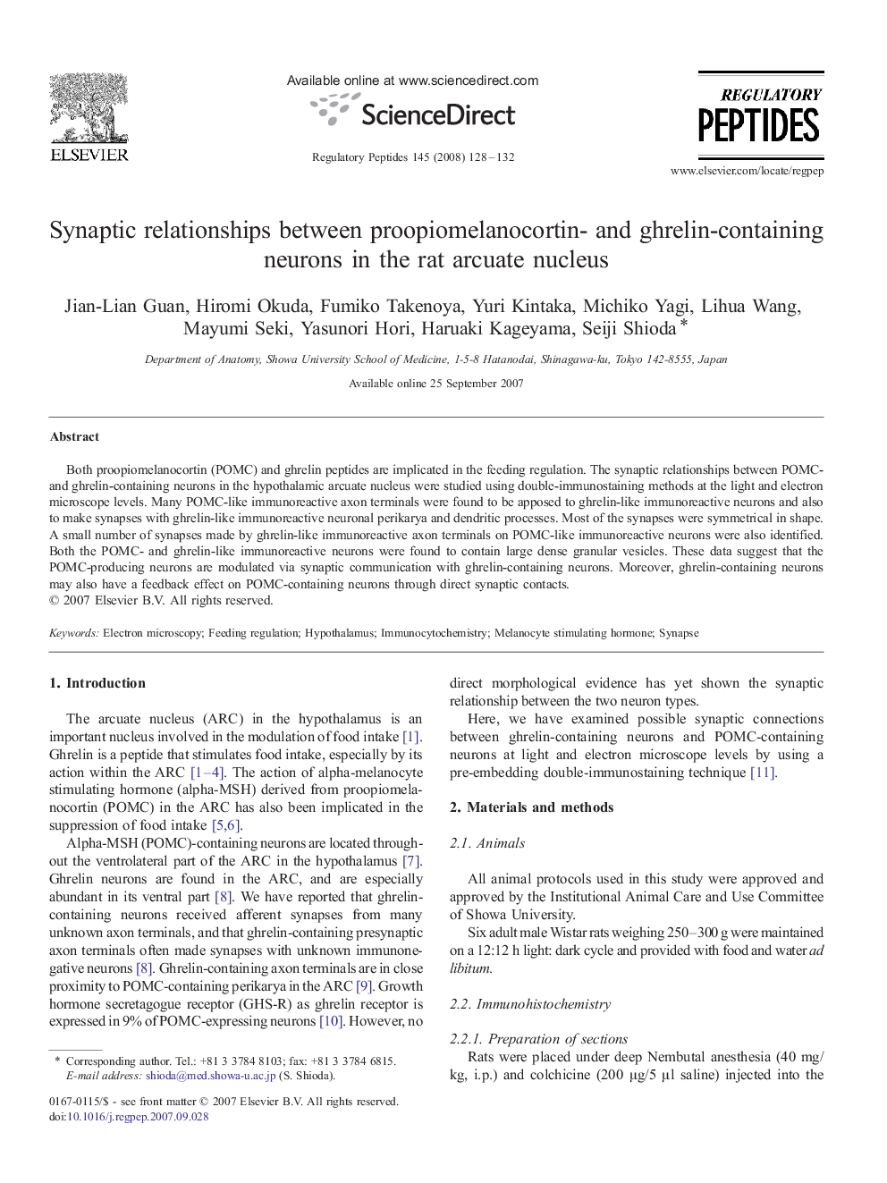 Synaptic relationships between proopiomelanocortin- and ghrelin-containing neurons in the rat arcuate nucleus