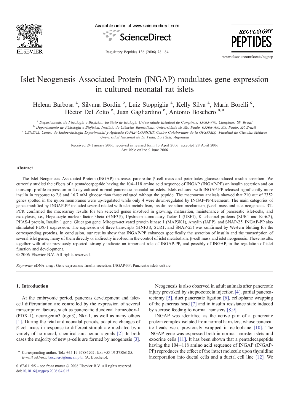 Islet Neogenesis Associated Protein (INGAP) modulates gene expression in cultured neonatal rat islets