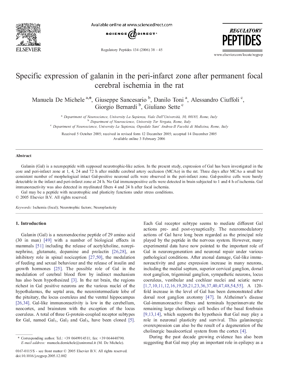 Specific expression of galanin in the peri-infarct zone after permanent focal cerebral ischemia in the rat