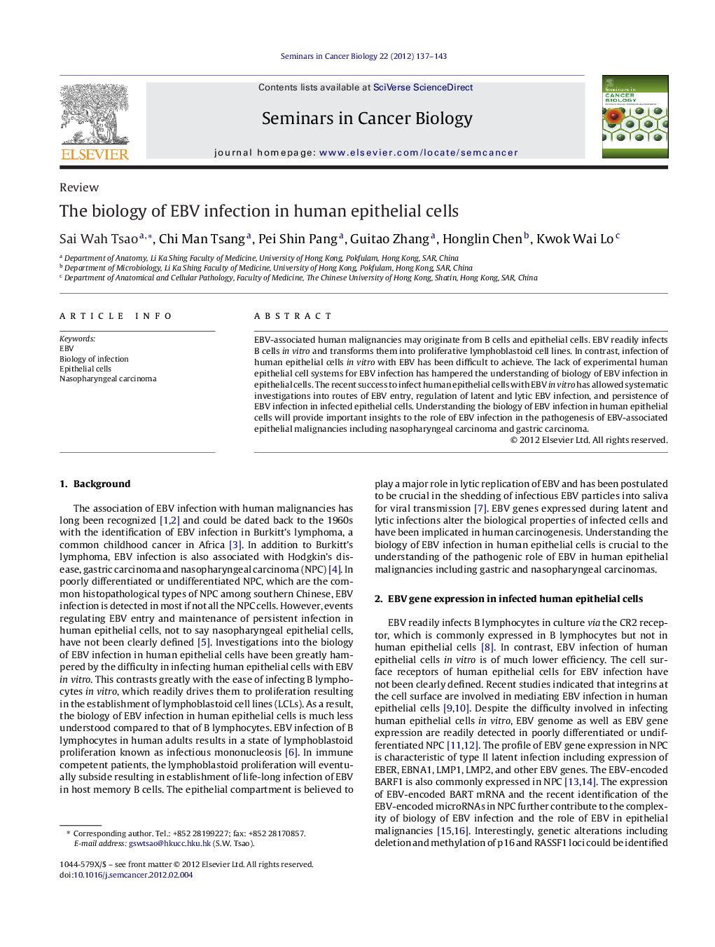 The biology of EBV infection in human epithelial cells