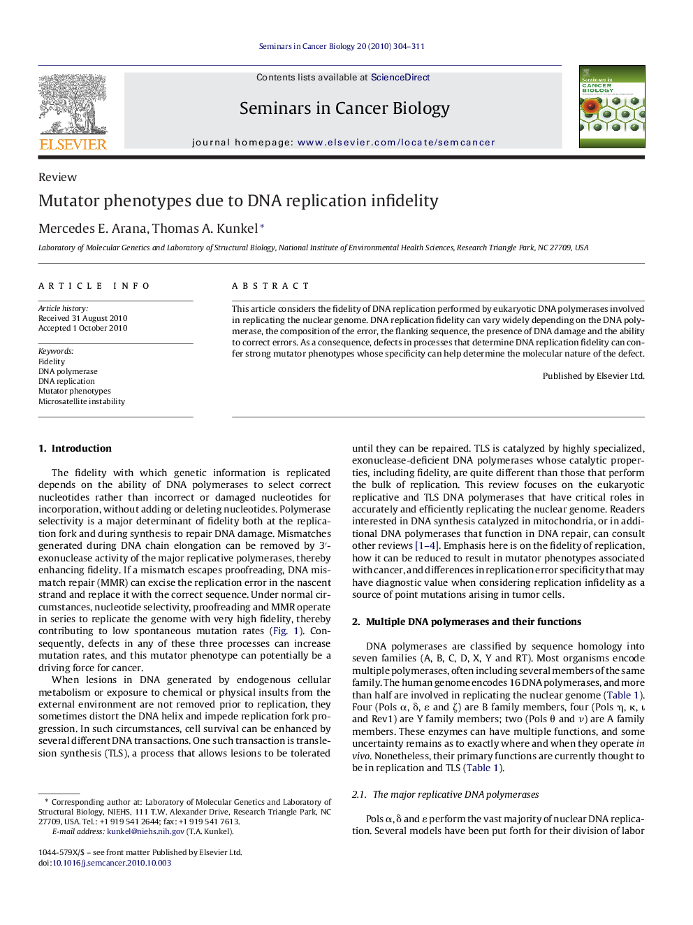 Mutator phenotypes due to DNA replication infidelity