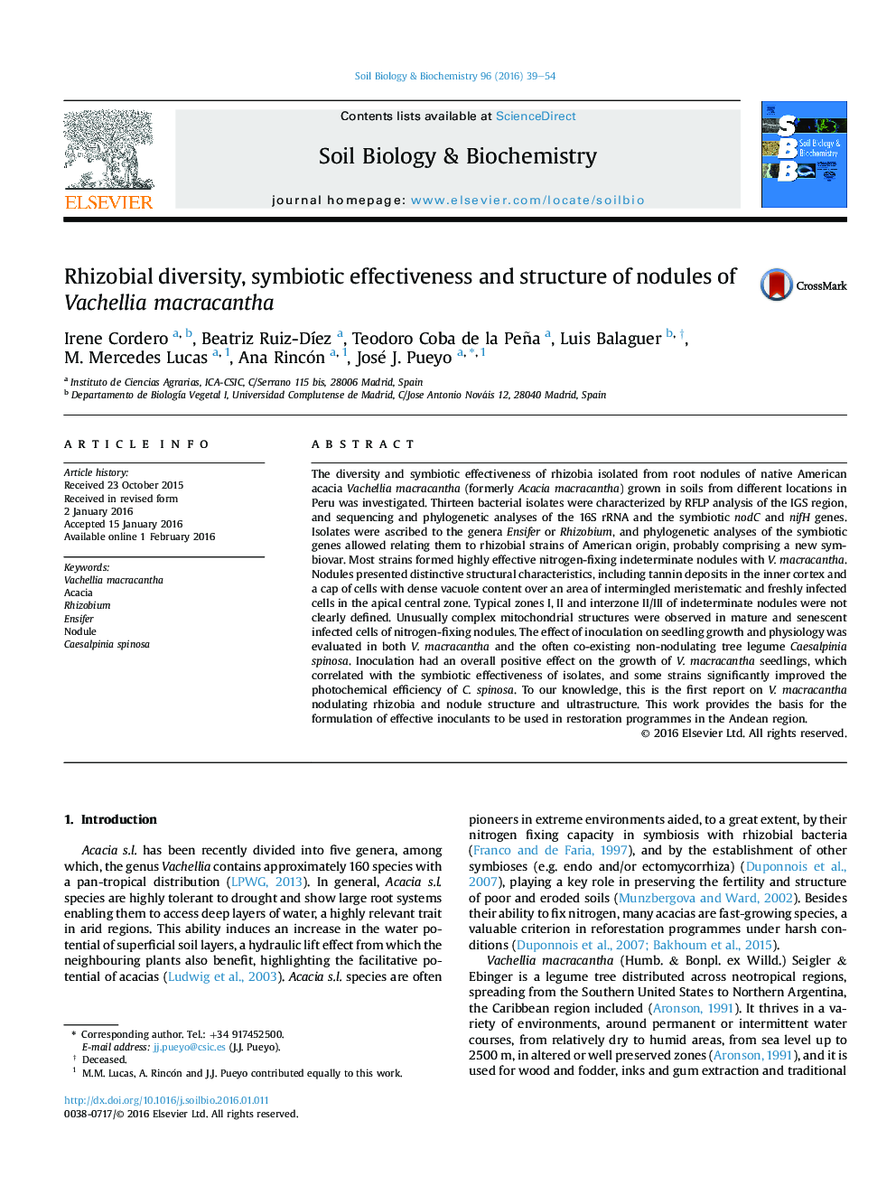 Rhizobial diversity, symbiotic effectiveness and structure of nodules of Vachellia macracantha