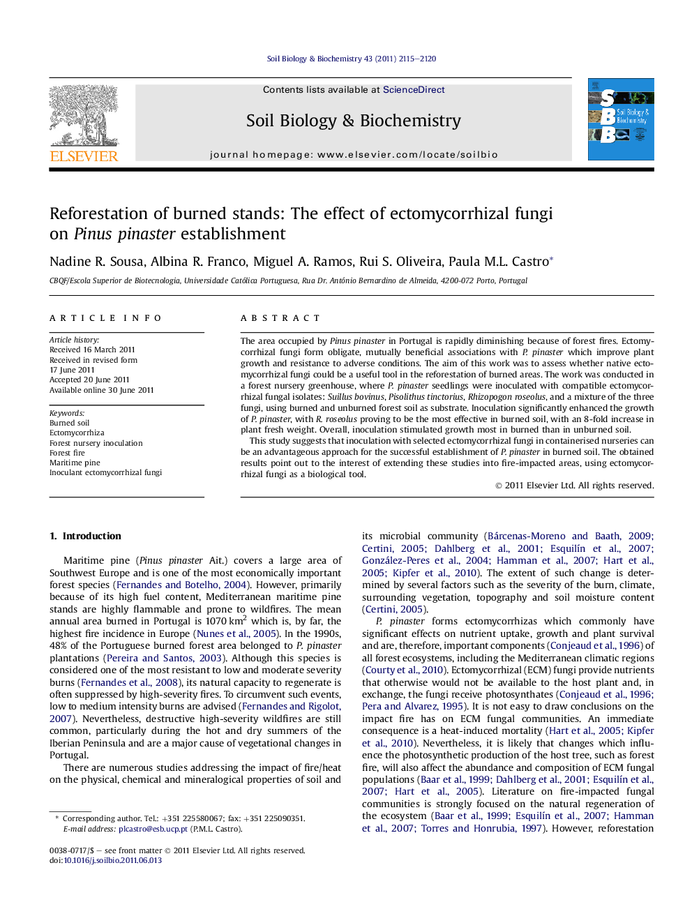 Reforestation of burned stands: The effect of ectomycorrhizal fungi on Pinus pinaster establishment