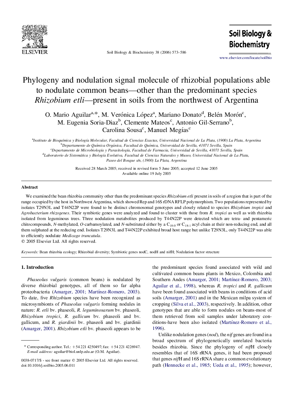 Phylogeny and nodulation signal molecule of rhizobial populations able to nodulate common beans—other than the predominant species Rhizobium etli—present in soils from the northwest of Argentina